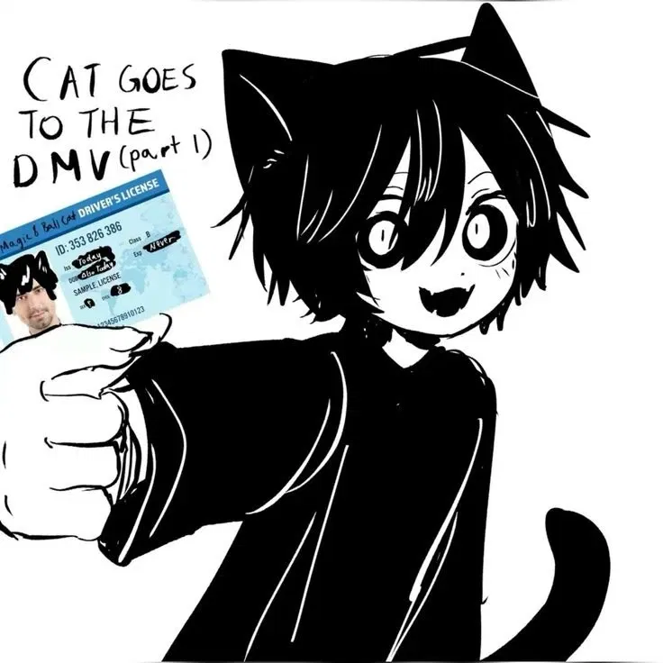 Avatar of magic 8ball cat 