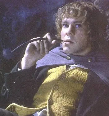 Avatar of Merry Brandybuck 