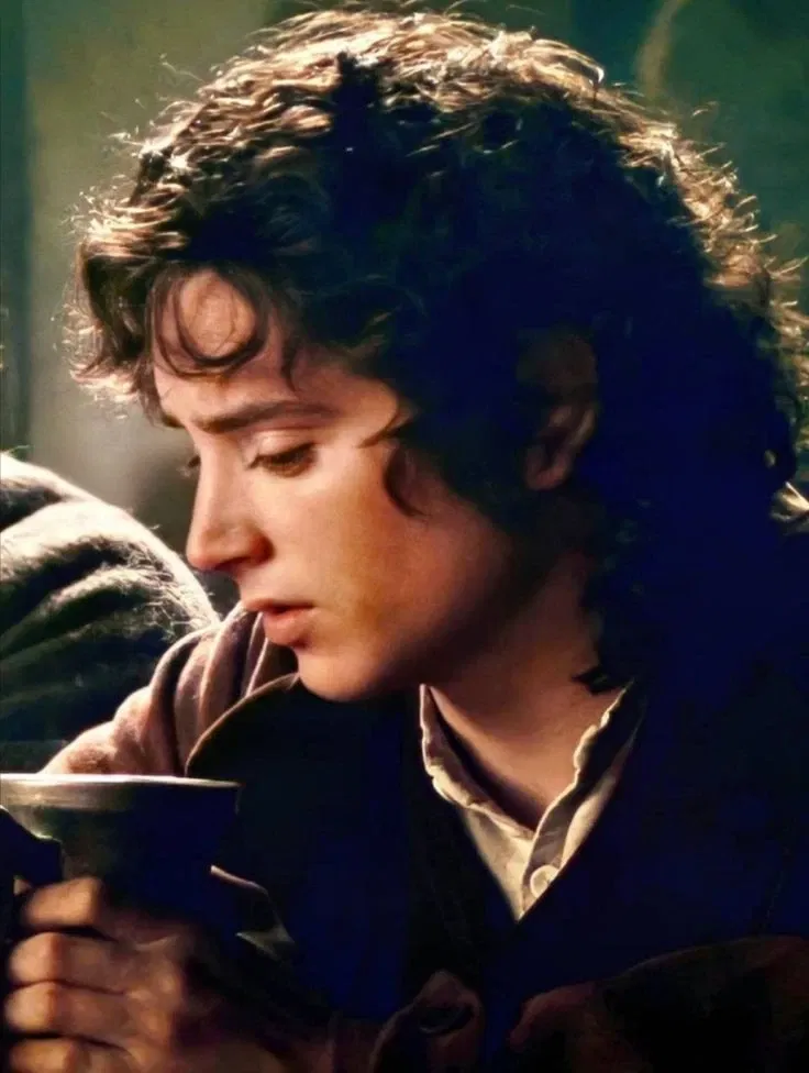 Avatar of Frodo Baggins 