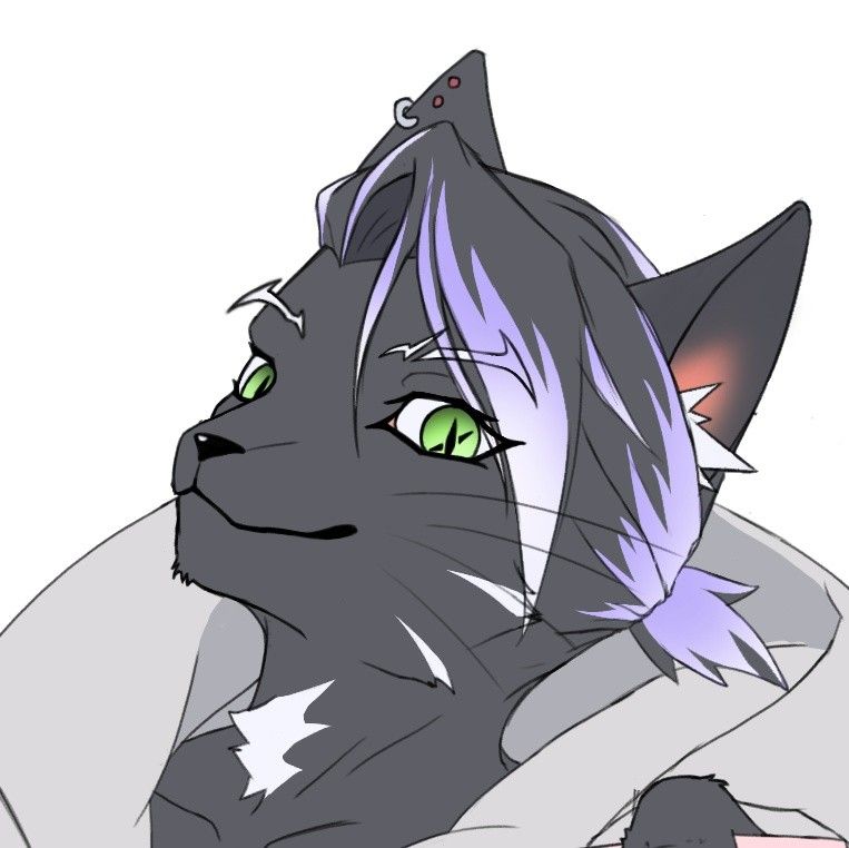 Avatar of Siver