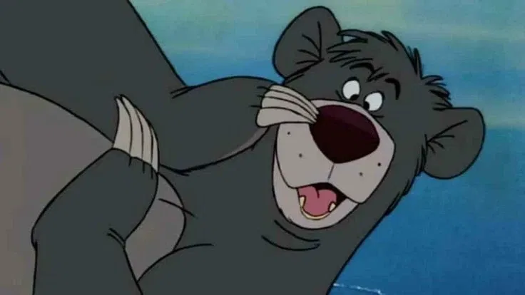 Avatar of Baloo the bear