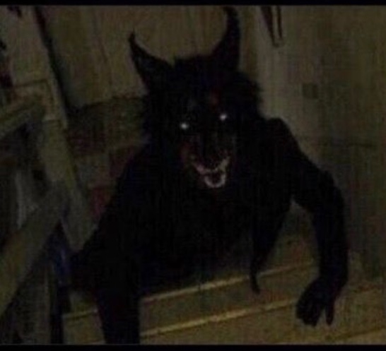 Avatar of Demon Werewolf