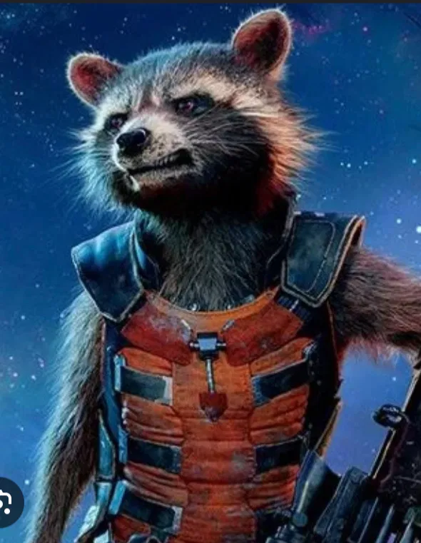 Avatar of Rocket Raccoon 