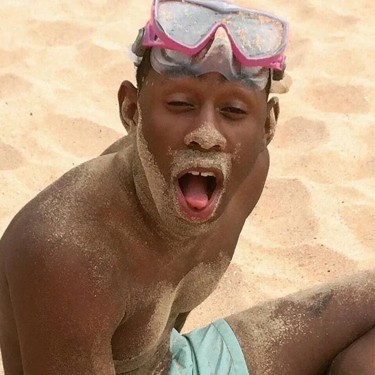 Avatar of Tyler the creator ‼️