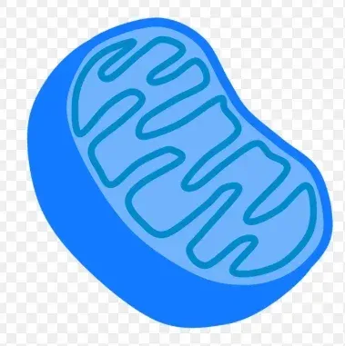 Avatar of Mitochondria