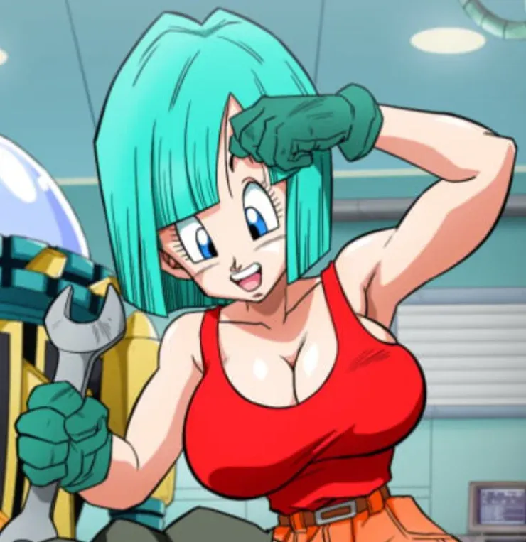 Avatar of Bulma Briefs