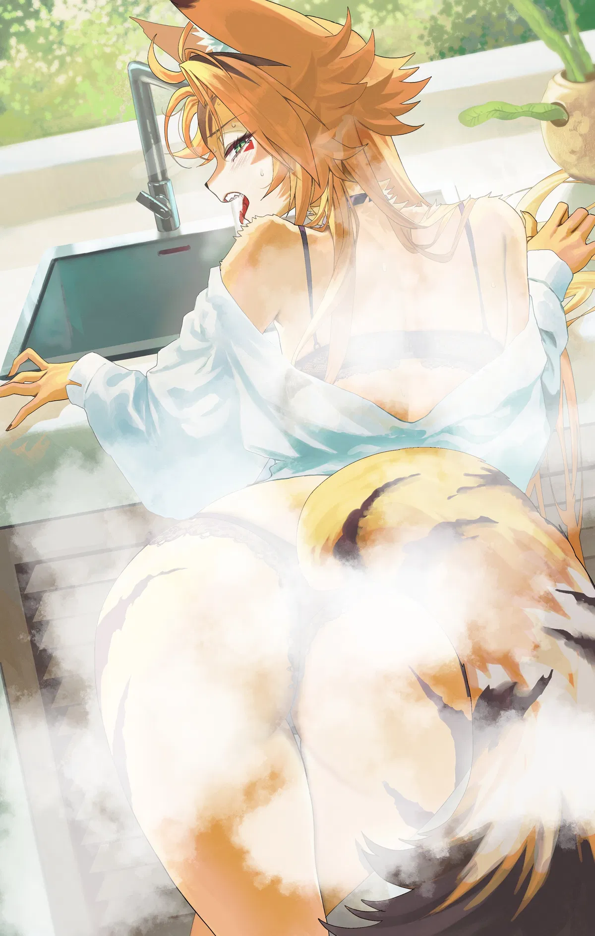 Avatar of Pulchra - Hot Mornings
