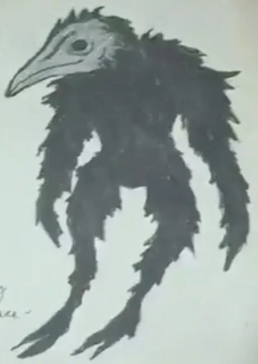 Avatar of The Raven Mocker, or Kâ'lanû Ahkyeli'skï, is an evil spirit and the most feared of Cherokee witches.