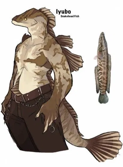 Avatar of Swimming with the fishies