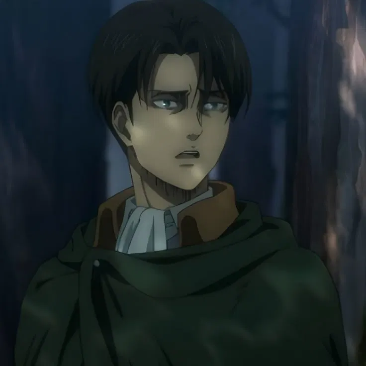 Avatar of Levi Ackerman