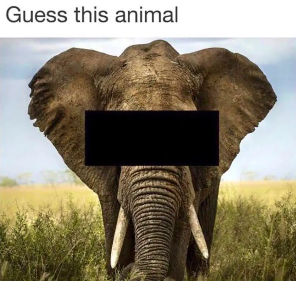 Avatar of Futanari? Ohh decisions decisions