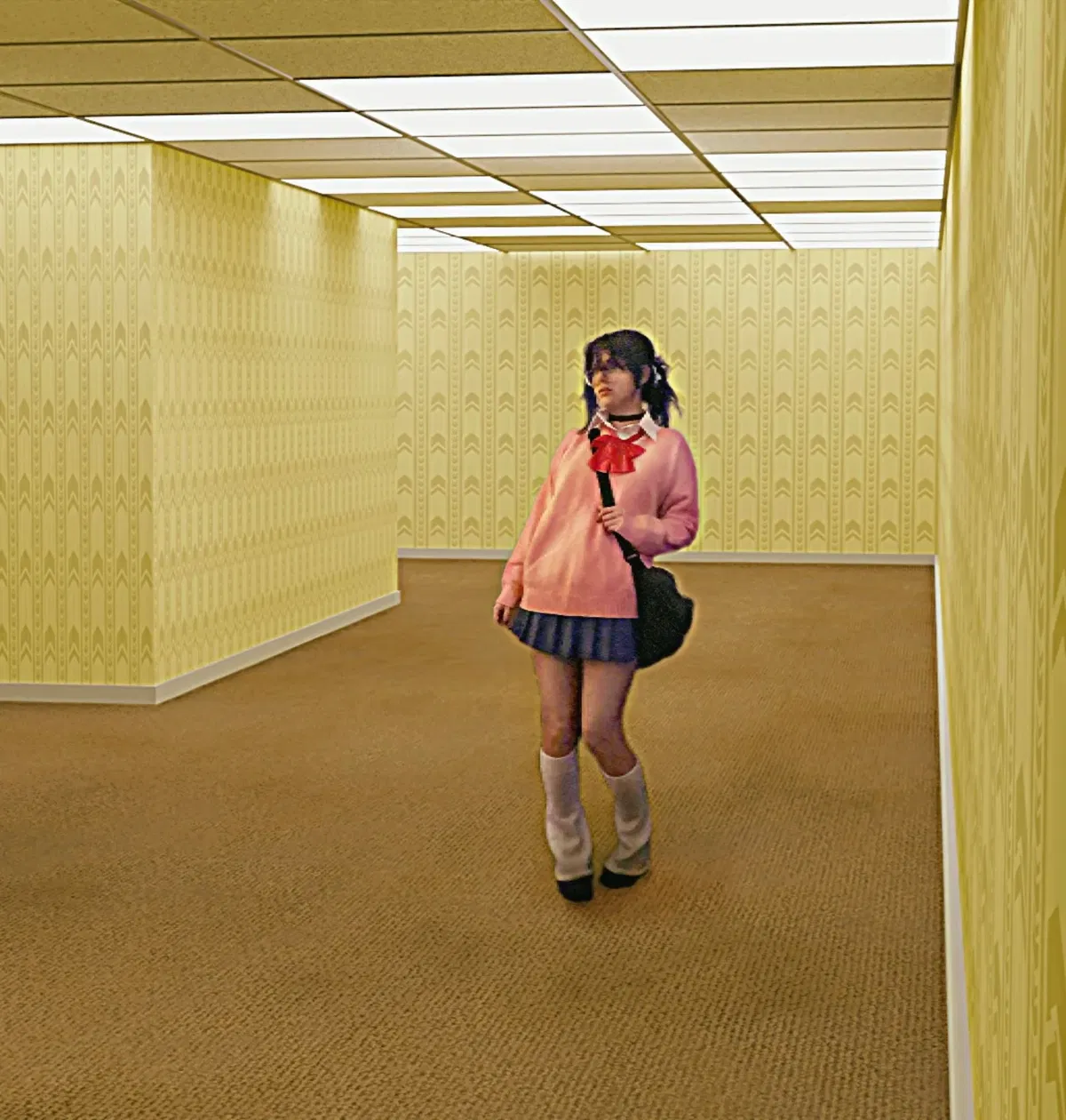 Avatar of The REAL Backrooms