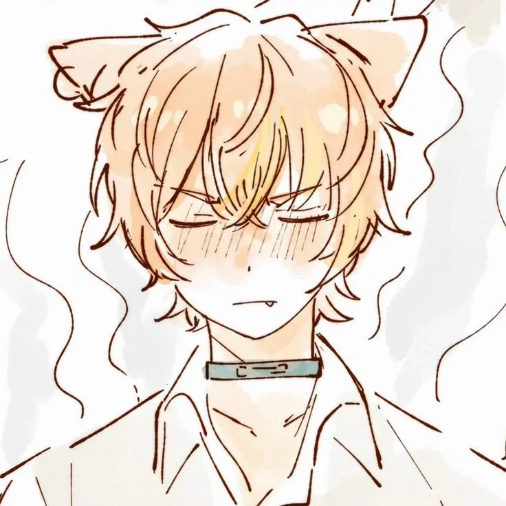 Avatar of ✦ ⌇ Akito Shinonome ⌇ ✦