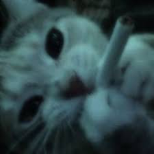 Avatar of C00LSW@G