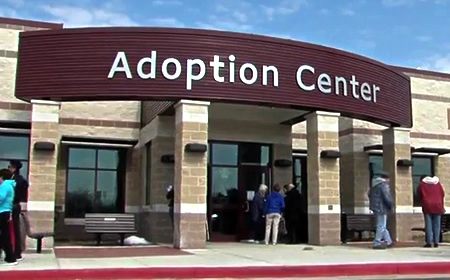 Avatar of Adoption Center RPG