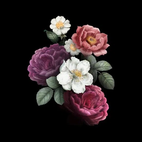 Avatar of Limbus Company The Real Outcast / Remake