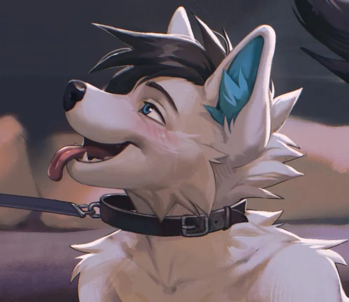 Avatar of Quinn || Good Boy