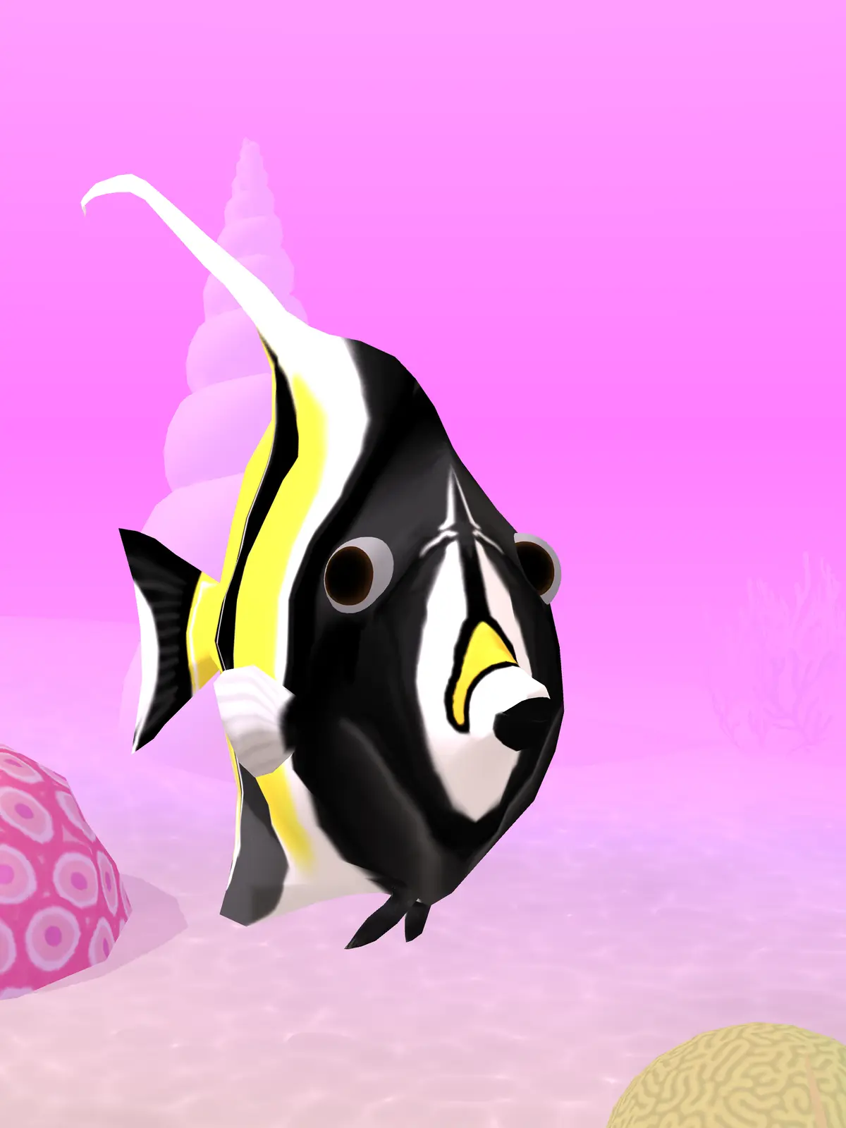 Avatar of Moorish idol