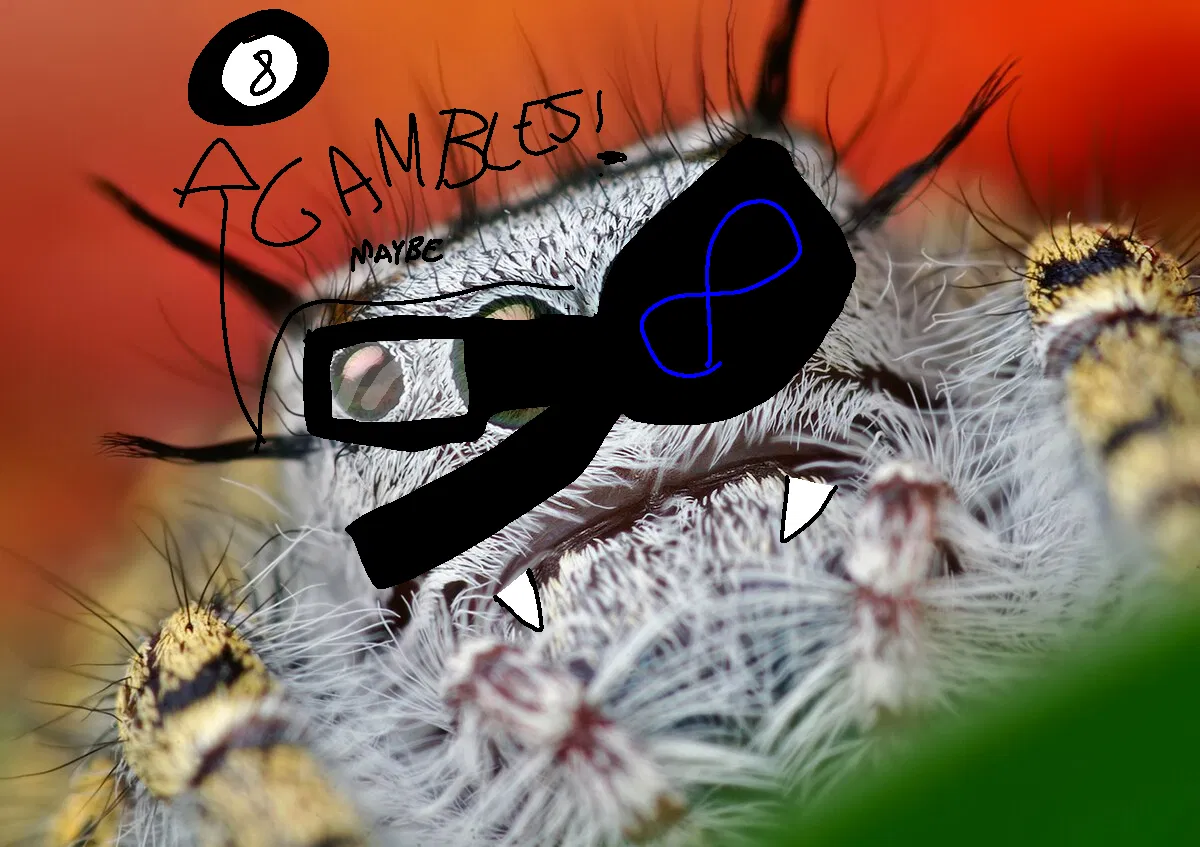 Avatar of Gambling spider bitch