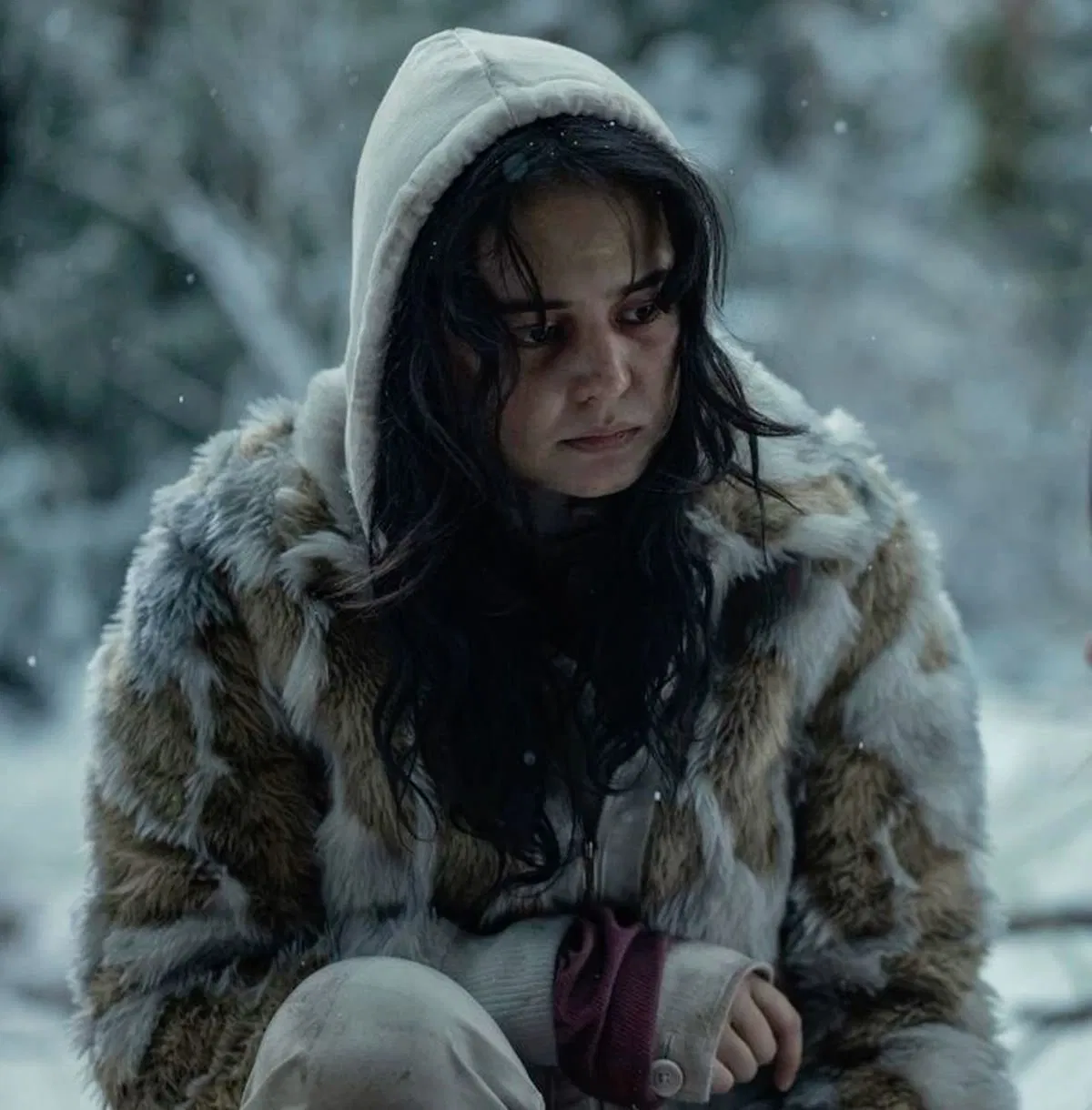 Avatar of Lottie Matthews 