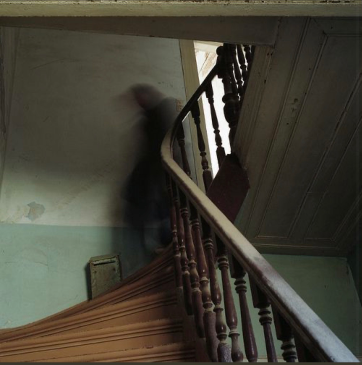 Avatar of He’s haunting you~