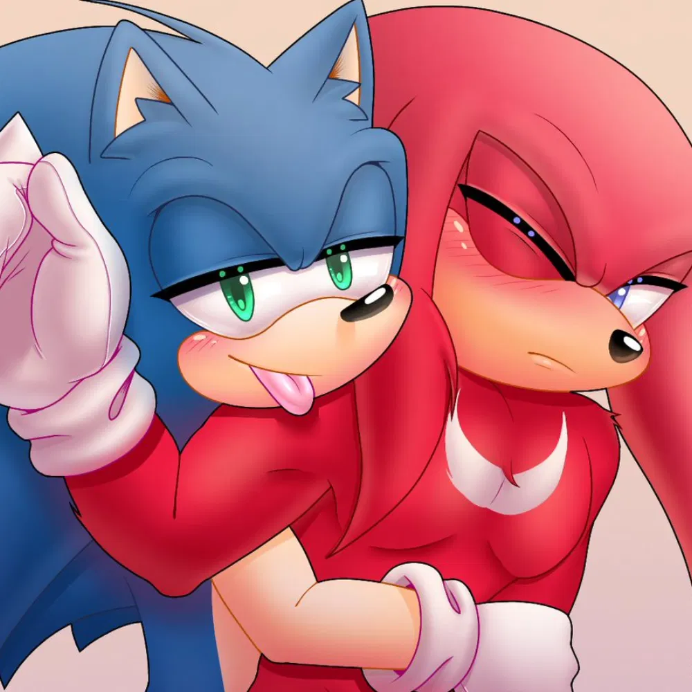 Avatar of ˚₊۶ৎ˙⋆ Sonic and Knuckles
