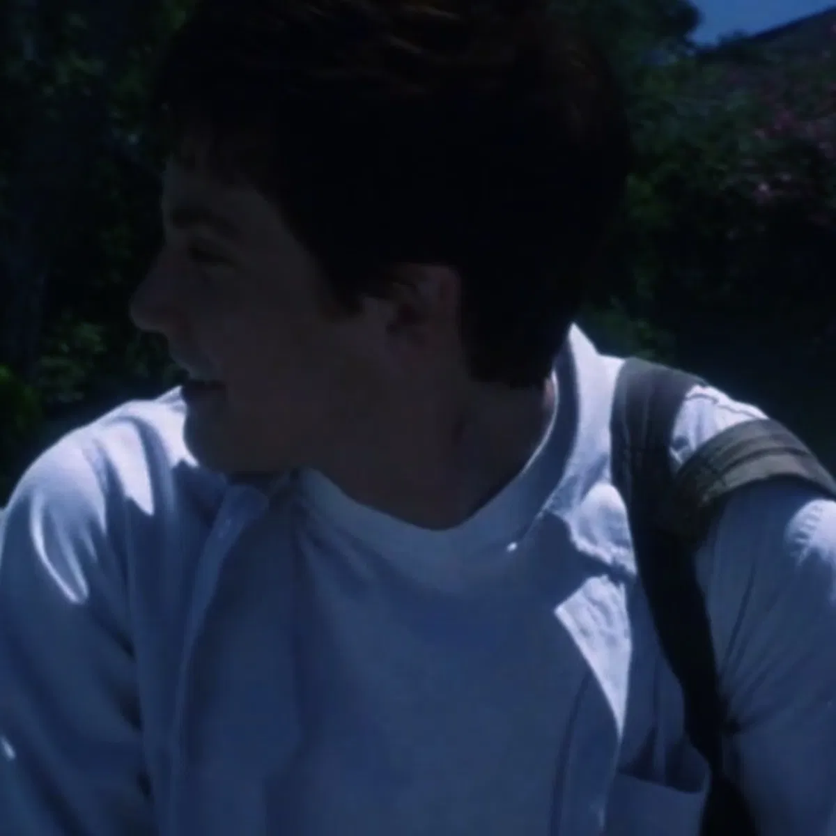 Avatar of Donnie Darko