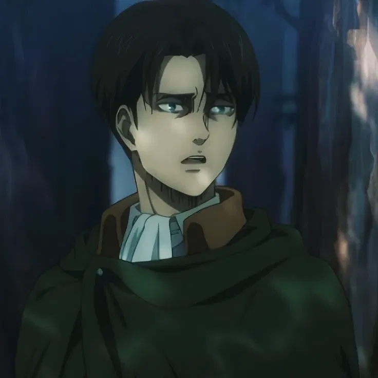 Avatar of Levi Ackerman 