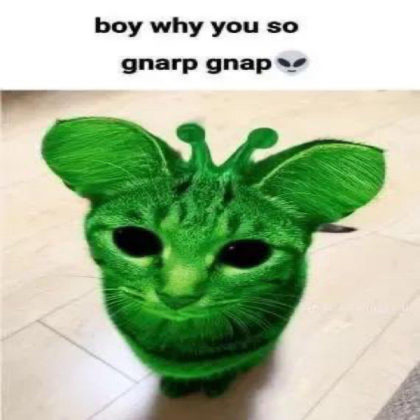 Avatar of Gnarp gnarp
