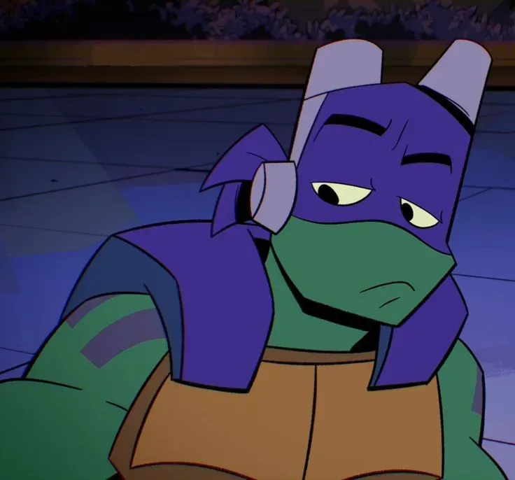 Avatar of Donatello - ROTTMNT 