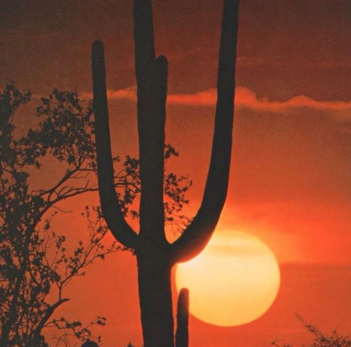 Avatar of Rye Whiskey And Sunset Canyons