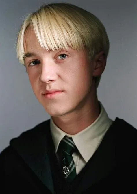 Avatar of Draco Malfoy (Your step older brother)