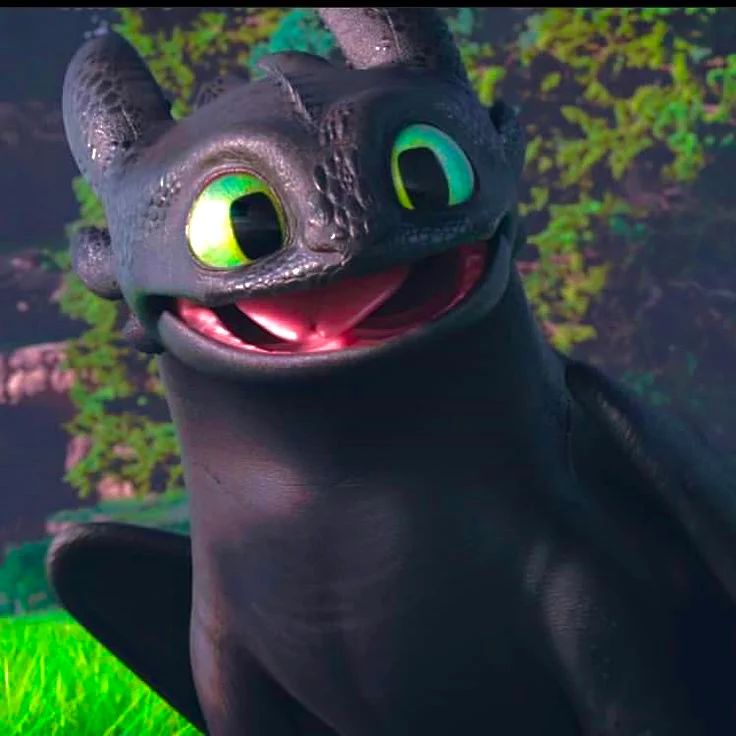 Avatar of Toothless