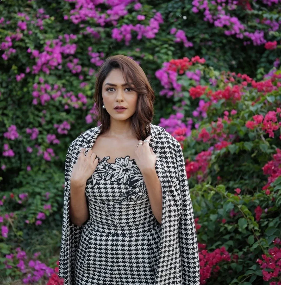 Avatar of Mrunal thakur
