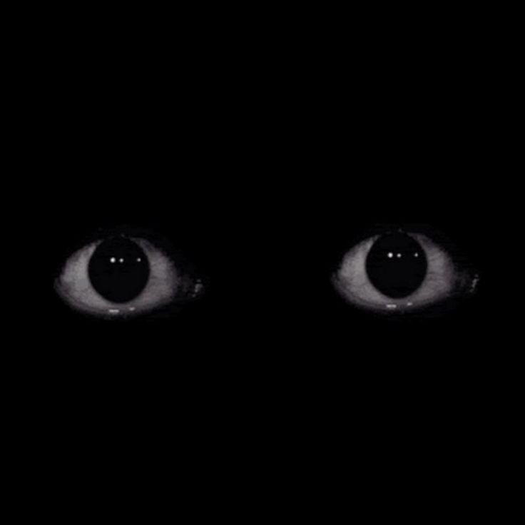Avatar of Lucius 