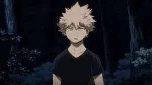 Avatar of - Katsuki Bakugou - MHA -