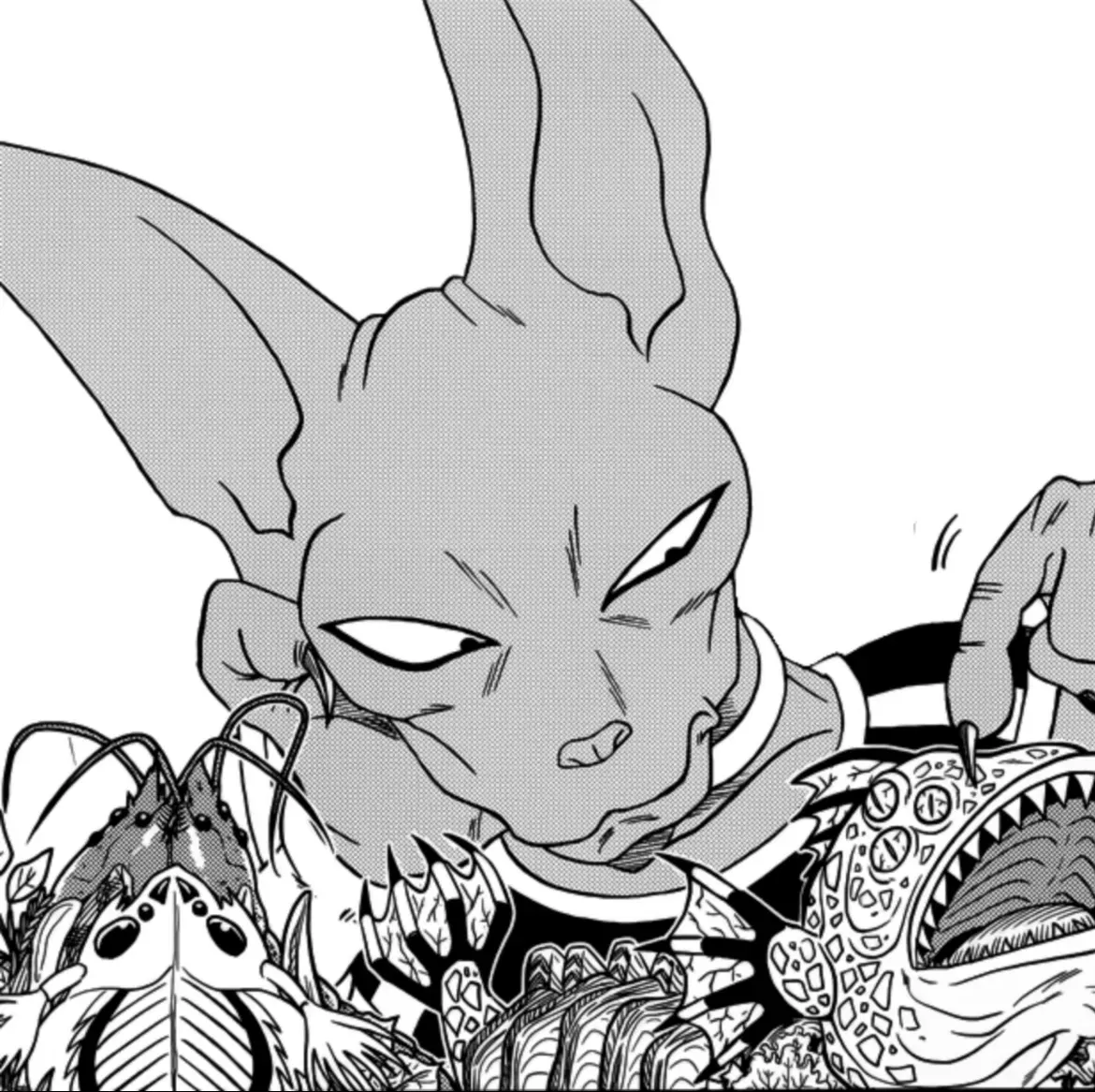 Avatar of Lord Beerus