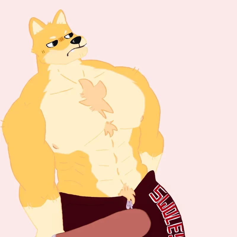 Avatar of Hanzo - Swole Doge.