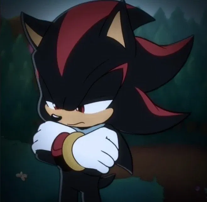 Avatar of Shadow The Hedgehog  - Recaptured