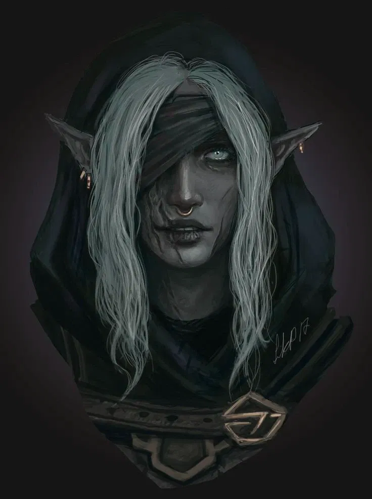 Avatar of O guerreiro vendado