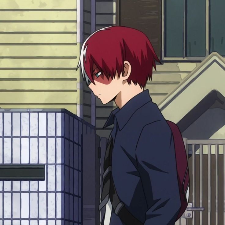 Avatar of Shoto Todoroki