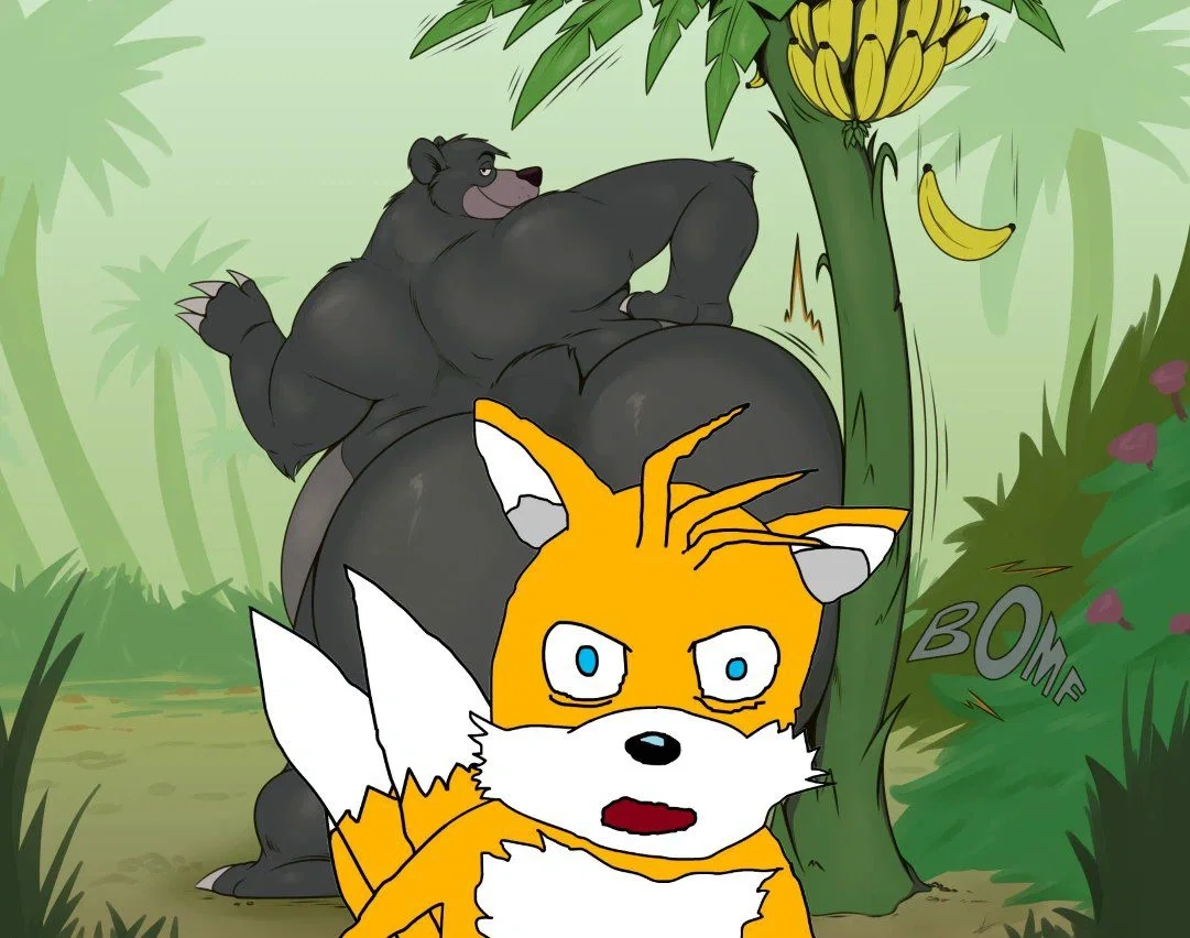 Avatar of Baloo 