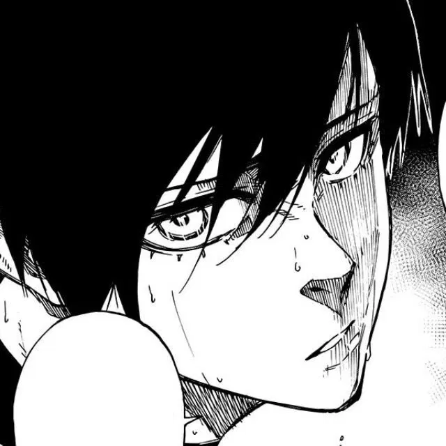 Avatar of | rin itoshi | fallen star