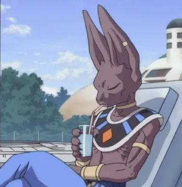 Avatar of Lord Beerus