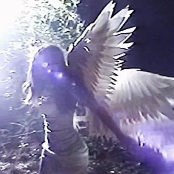 Avatar of Pietro