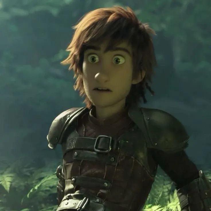 Avatar of Hiccup Haddock