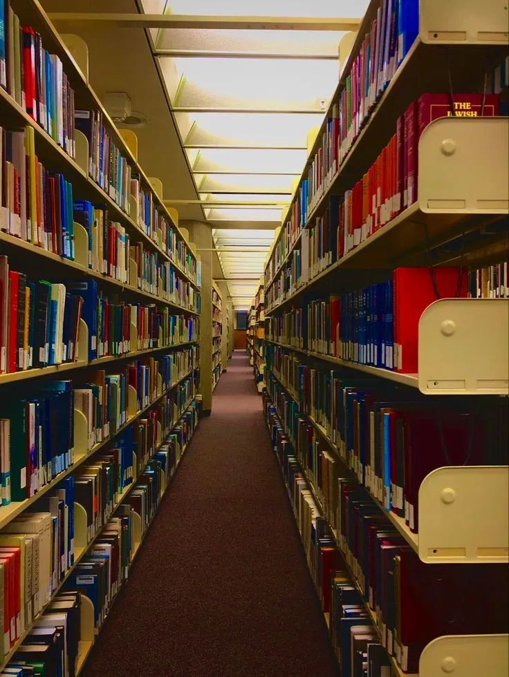Avatar of The endless library.