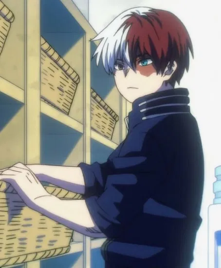 Avatar of Shoto todoroki 