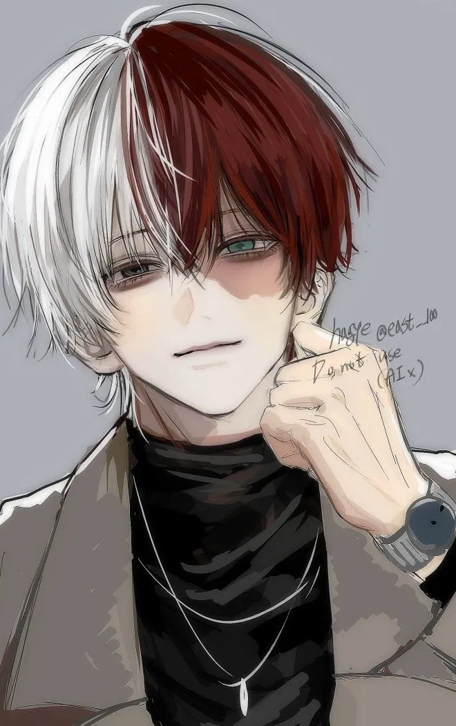 Avatar of Alpha Shoto Todoroki