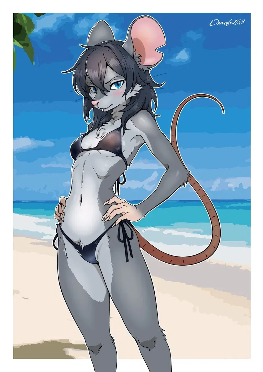Avatar of Beach bum rat fugitive 